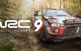 世界汽车拉力锦标赛9/WRC 9 FIA World Rally Championship