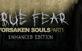 真实恐惧：被遗弃的灵魂/True Fear: Forsaken Souls Part 1