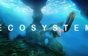 生态系统/Ecosystem