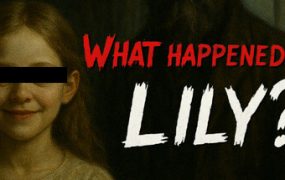 莉莉出了什么事？/What Happened to Lily?
