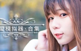 恋爱模拟器/Love Simulation
