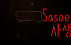 私生饭/Sasaeng