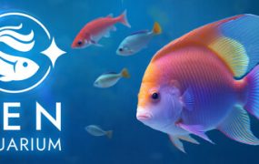 禅意水族馆/Zen Aquarium