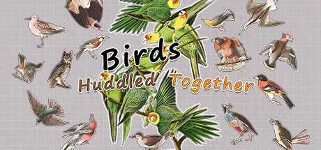 挤在一起的鸟鸟/Birds Huddled Together