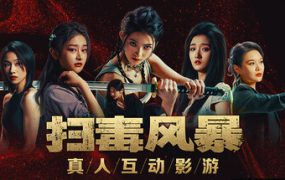 扫毒风暴：宛北往事/The Narcotic Operation