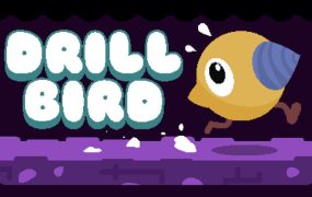 钻头鸟/Drill Bird