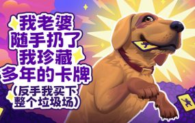 老婆随手扔了我多年珍藏卡牌/My Wife Threw Out My Card Collection