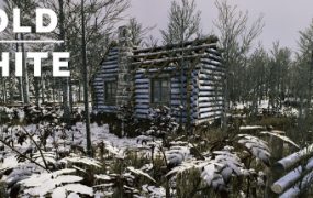 冷白/The Cold White