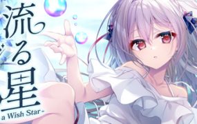 流星 -a wish star-/流る星 -a wish star-