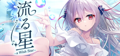 流星 -a wish star-/流る星 -a wish star-