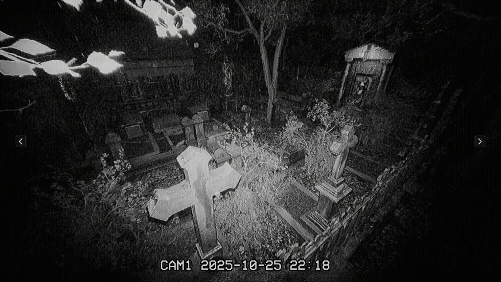 墓地夜班/The Cemetery Shift