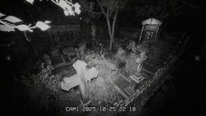 墓地夜班/The Cemetery Shift
