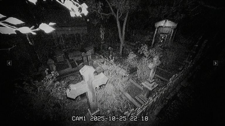 墓地夜班/The Cemetery Shift