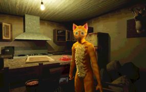 莫哈维之猫/Cat Named Mojave