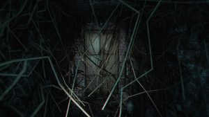 诡异之光/The Strange Lights