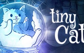小猫/tiny Cats