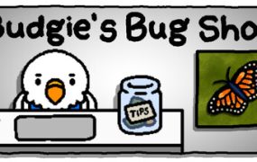 虎皮鹦鹉的昆虫小店/Budgie’s Bug Shop
