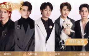 我的璀璨男友