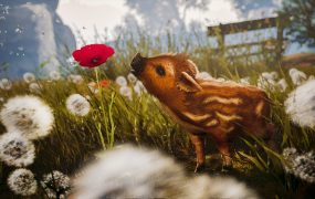 可爱冒险记/Adorable Adventures