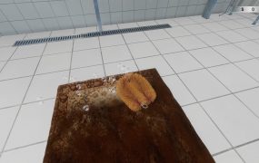 地毯清洁模拟器/Carpet Cleaning Simulator