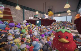 分拣橡皮鸭/Sort Them Ducks