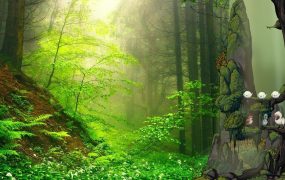 幻鸟之森/Fantasy Bird Woods 新游发布
