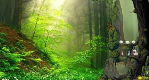 幻鸟之森/Fantasy Bird Woods 新游发布