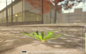 蒲公英不屈。/The Dandelion Endures.
                            新游发布