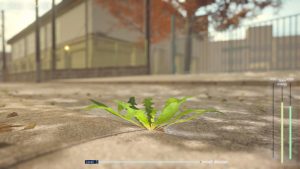 蒲公英不屈。/The Dandelion Endures.
                            新游发布
