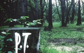 寂静岭P.T./Playable Teaser 索尼移植 新游发布