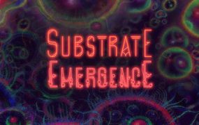 基质：涌现/Substrate: Emergence