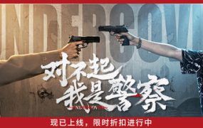 对不起，我是警察/Undercover