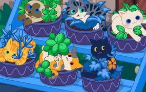 猫咪花园/Meow Garden